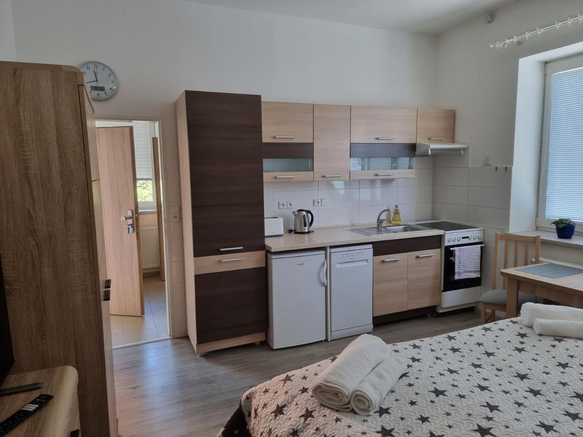 Garsoniera Dukla 289 Apartment Decin Luaran gambar